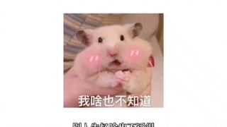 花城：道长哥哥∽