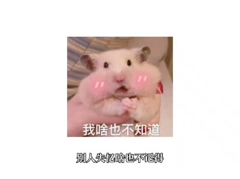 花城：道长哥哥∽