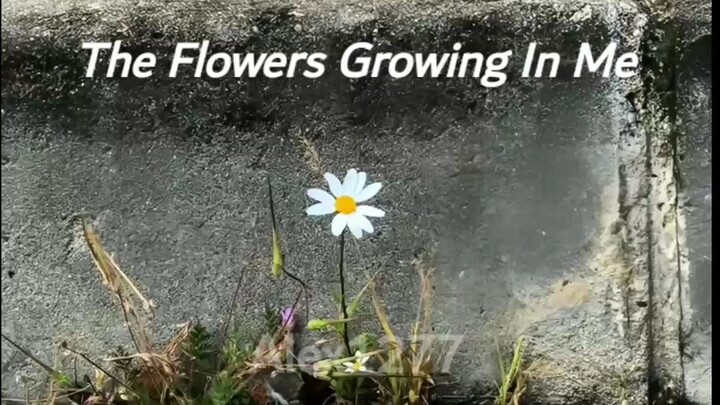 The Flowers Growing In Me