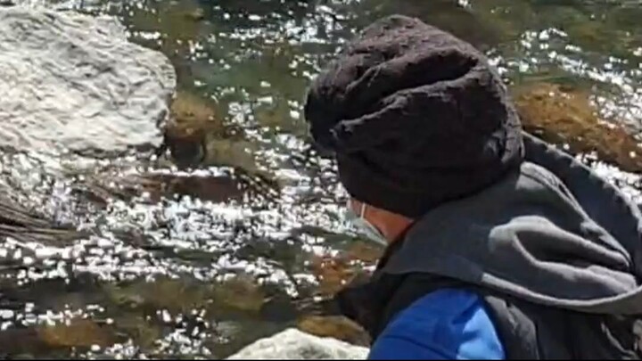 cast net fishing in Nepal | himalayan trout fishing with handmade cast net |