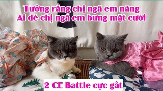 Chị chị em em khịa nhau cực gắt - Meow Version