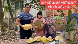 Xuống thăm nhà Hai Bác Cha Mẹ Bạn Khương Dừa ra vườn tìm quả mít ngon làm quà