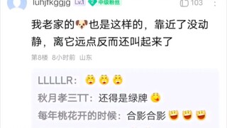 حوادث مضحكة وغريبة على جدار التصريحات في المدرسة.