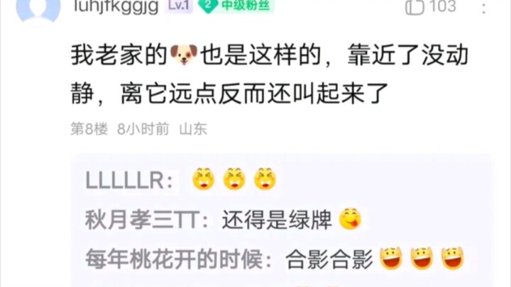 学校表白墙的奇葩搞笑事件。