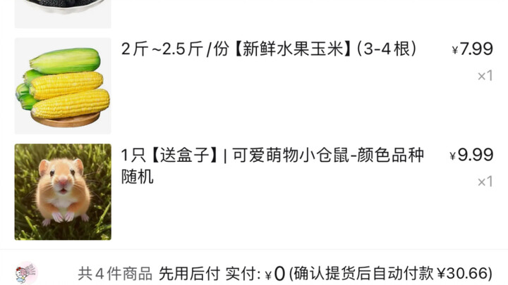Suatu hari di Duoduo Maicai, penasaran jadi beli seekor hamster—ini ceritanya!