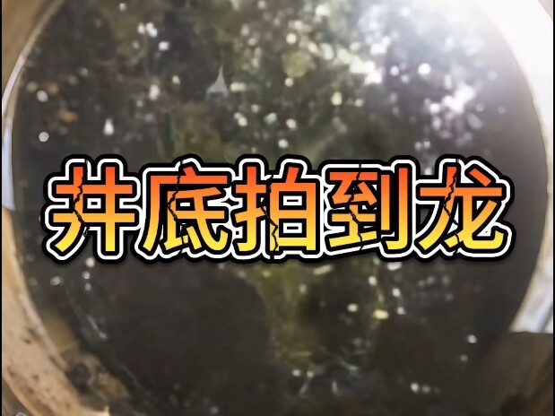 What’s the Truth Behind the Video of a Dragon Filmed at the Bottom of a Well?