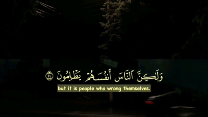 Surah Yunus Verse 44 | Heart Touching Quran Recitation