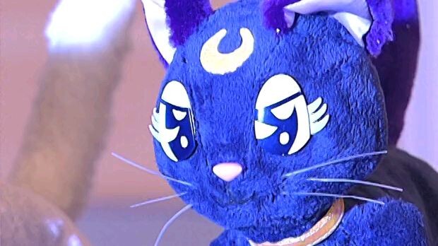 Pretty Guardian Sailor Moon Act 28: Wekcome Home,Ami!