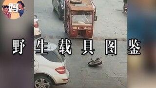 【野生人类图鉴】1997年，我学会开汽车