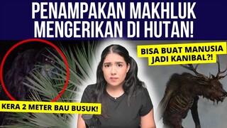 MAKHLUK MISTERIUS di HUTAN: SKUNK APE & WENDIGO 😰