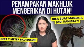 MAKHLUK MISTERIUS di HUTAN: SKUNK APE & WENDIGO 😰