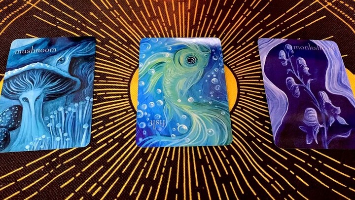 Những chuyện vui mừng trong nửa cuối năm!! Chuyện tốt gì sắp đến vậy?