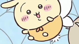 乌萨奇高光合集