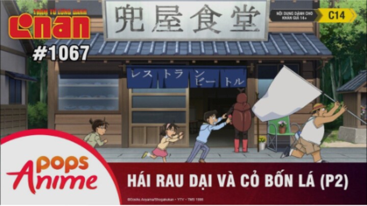 Thám tử lừng danh Conan tập 1067-Hái rau dại và cỏ bốn lá(P2)1|Bản lồng tiếng|KinKin Anime