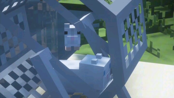 Little hamster, so cute!