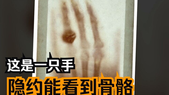 我就喜欢这种探索身体的书…