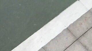 Hehe, với cặp cừu dễ thương này, mình có thêm mẹo mua sắm mới rồi!