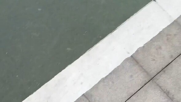 هههه، مع هذا الزوج من الحملان اللطيفة، حصلت على نصائح تسوق جديدة!