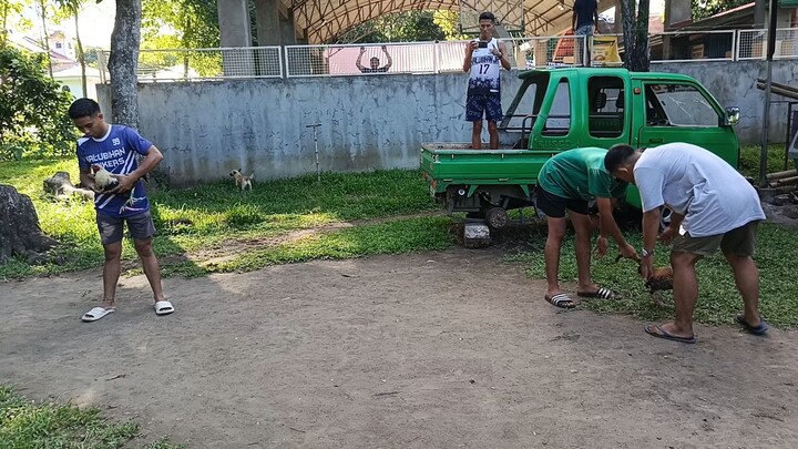 Dalawa ang tari vs semi sangkong