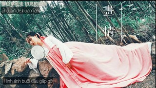 [HOẠ TÌNH - Diêu Bối Na] - Lyric Video - Vietsub + Pinyin