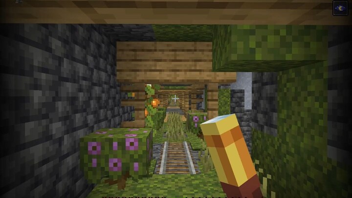 Minecraft: A Mine You Can't Escape Due to an Extremely Rare Event