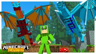 Time to TRAIN OUR DRAGONS!