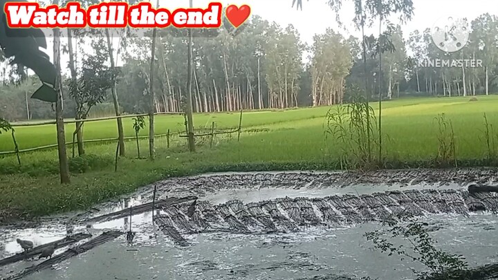 আমাদের গ্রামটা অনেক সুন্দর  দেখতে ❤️❤️❤️❤️