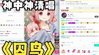 【扇宝】限定级别的超强清唱，神中神的一首《囚鸟》