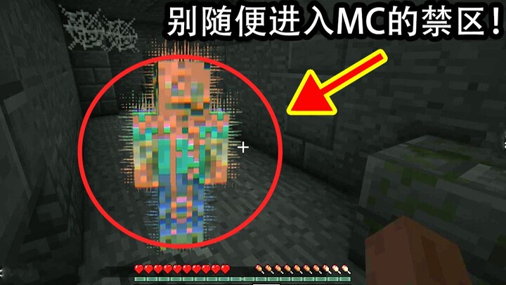 Khi chơi Minecraft một mình, xin đừng bước vào khu vực cấm này! Những ai không nghe lời khuyên đều đ