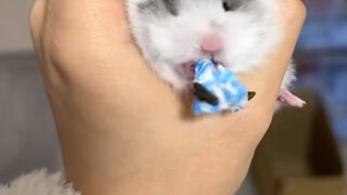 Little John: Come to the king's aid!