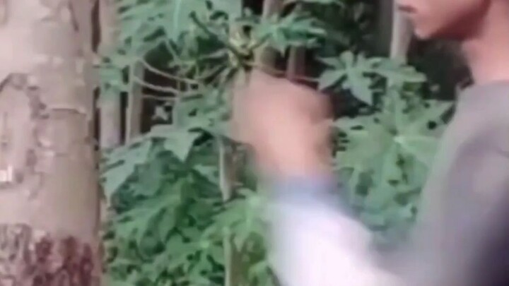 CANDYcrush level 1000