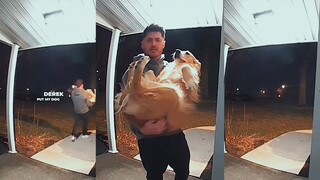 If you don’t want the dog, can I take it away?