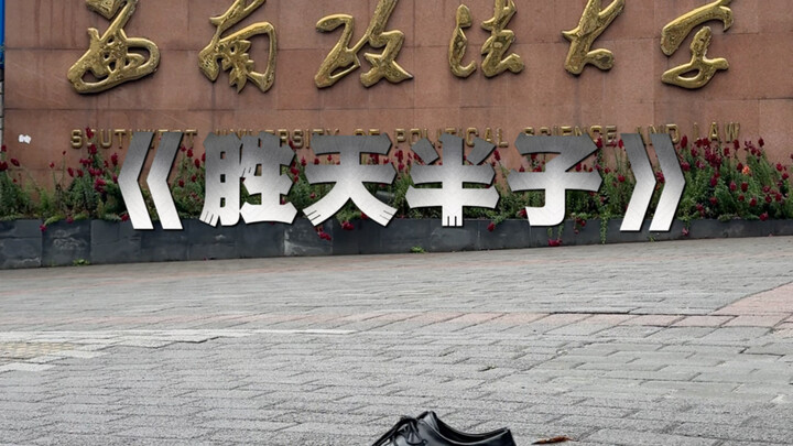 أريد حقًا أن أرتقي يا معلمي، رغم أنني لا أستطيع التغلب على القدر بالكامل.