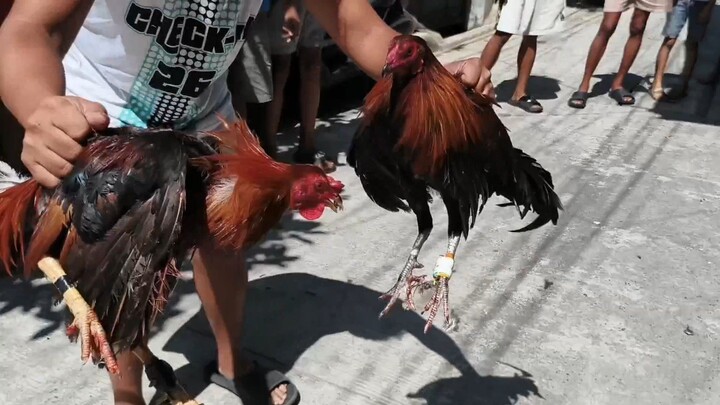 Tupada π