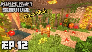 Minecraft มือถือ เอาชีวิตรอด _ EP.12 สวนธรรมชาติในถ้ำ!