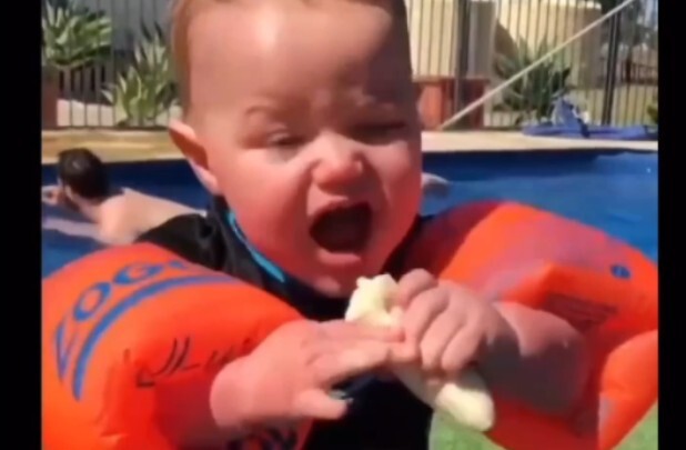 Chỉ muốn ăn thôi… |