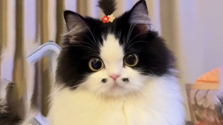 เธอดูเหมือนจะรู้ตัวว่าตัวเองน่ารักนะ!