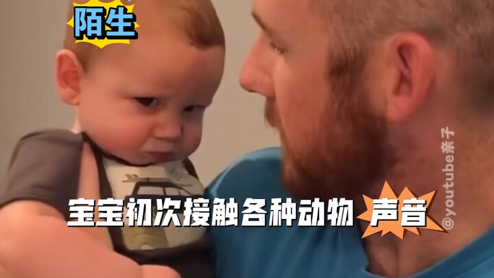 ردود فعل الأطفال على أصوات الحيوانات التي يسمعونها لأول مرة