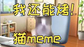 当你翻译了100个以上的日本进口猫meme是什么体验？ | 猫meme