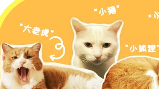 姜家“动物园”今日开放云参观！门票免费！