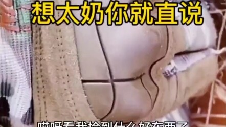 下辈子注意，手不要这么欠了