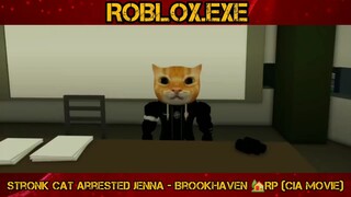 tronk Cat Arrested Jenna - Brookhaven 🏡RP (CIA Movie) PART#1