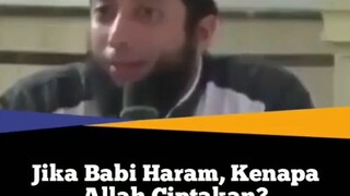 JIKA BABI HARAM,KENAPA ALLAH CIPTAKAN??