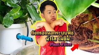 (ซูมใกล้ๆ) ถังกรองระบบพืชDIY  l คุณพ่อคราฟ