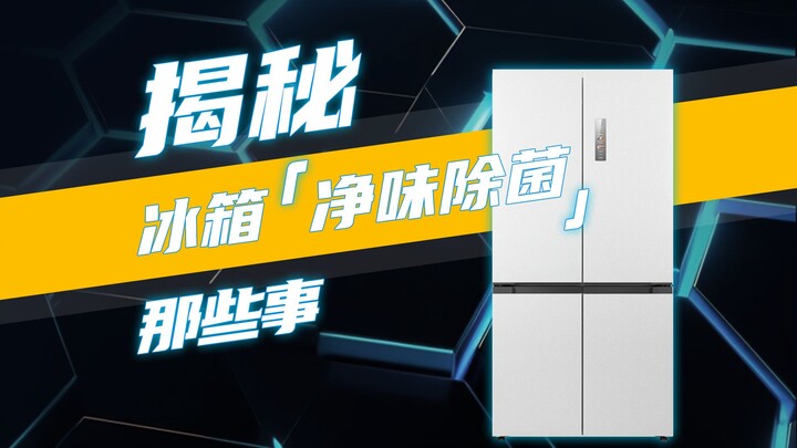 Uncover the secrets of refrigerator odor removal and sterilization!
