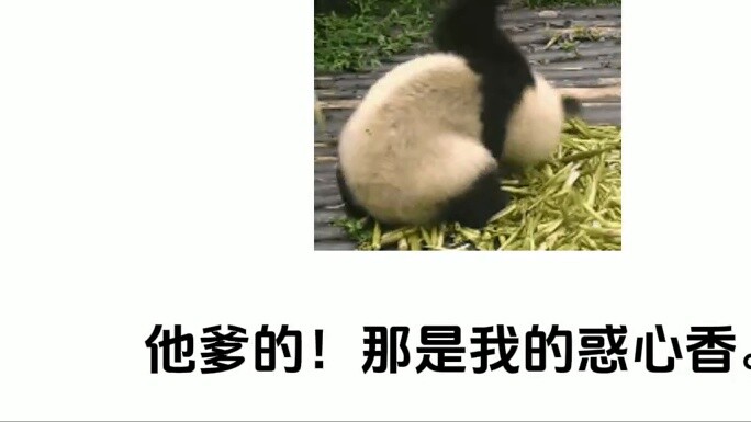 Brothers and sisters from the Hehuan Sect, come quickly, there is a sword cultivator here who is ver