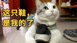 当主人去洗澡，这只鞋就是我的了…