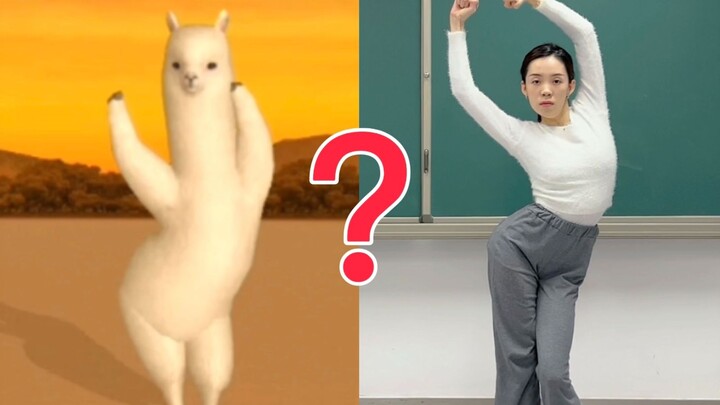 Sheep Transcends