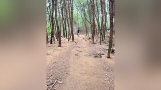 xuhuong thucung phimhay foryou fyp