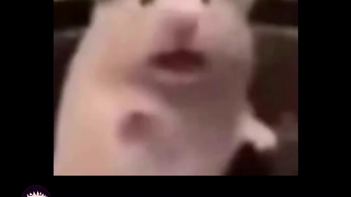 A Must-Take College Course: How to Spot a “Sea King” in Online Dating!